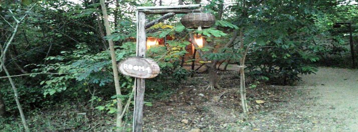 885/The Riverwood Forest Retreats - Pench National Park 04.jpg